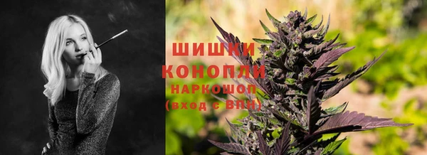 крисы Карпинск