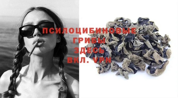 крисы Карпинск