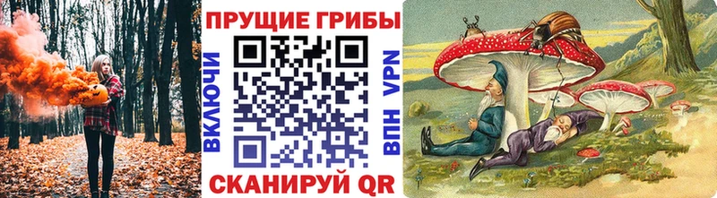 Галлюциногенные грибы Psilocybe  Купить где  Полярный 